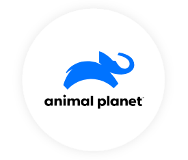 Animal Planet television channel DIRECTV