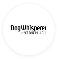 Dog Whisperer television channel DIRECTV