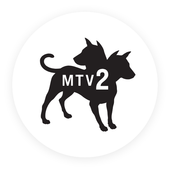 MTV2 television channel DIRECTV